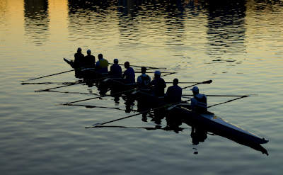 people rowing